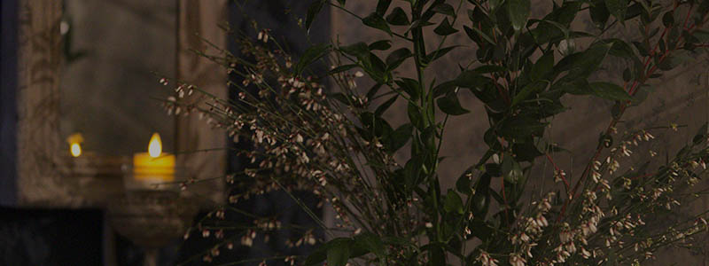 cecily-day-spa-test-05 cecily-day-spa-test-05